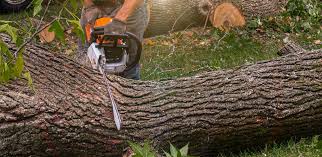 Mulching Services in Tallapoosa, GA